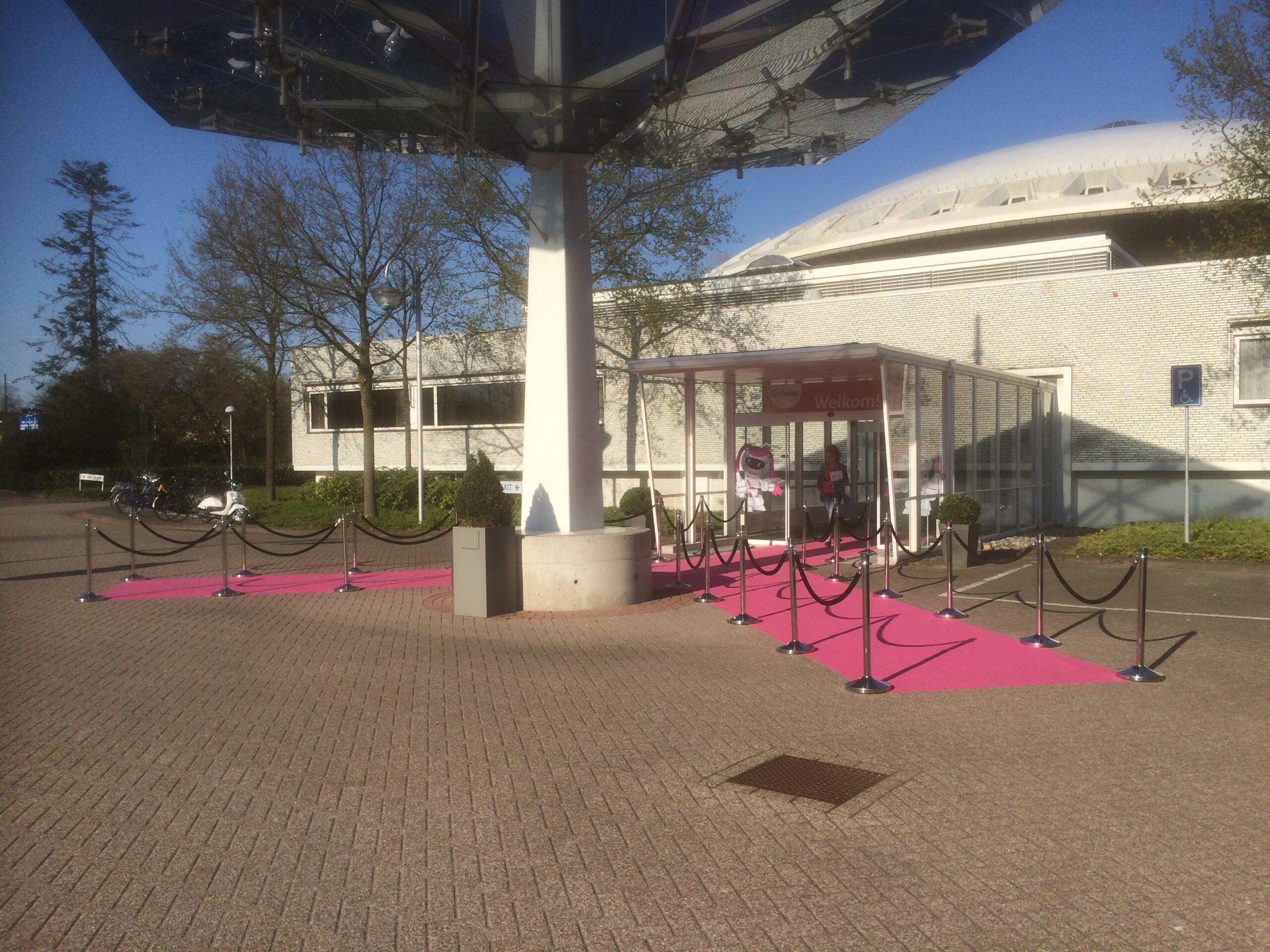 Loper roze per m2 (ongelegd)